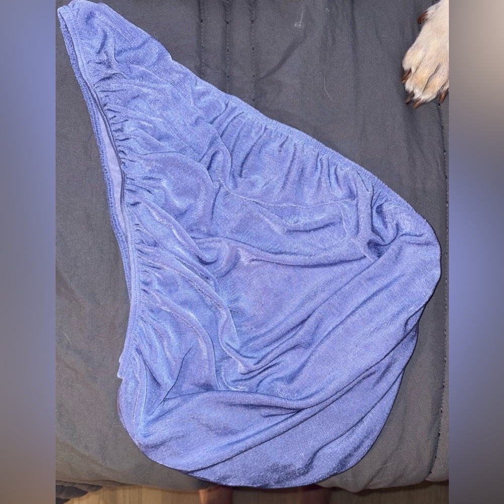 Lioness Elegant Blue Garment